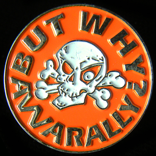 But Why Awarally pin badge