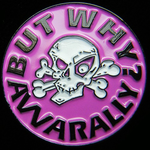 But Why Awarally pin badge