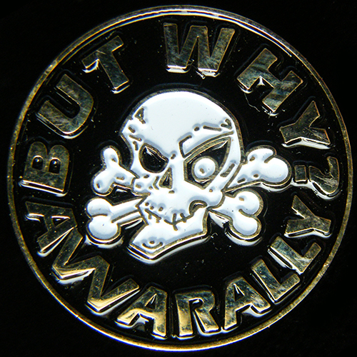 But Why Awarally pin badge