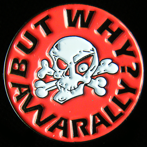 But Why Awarally pin badge