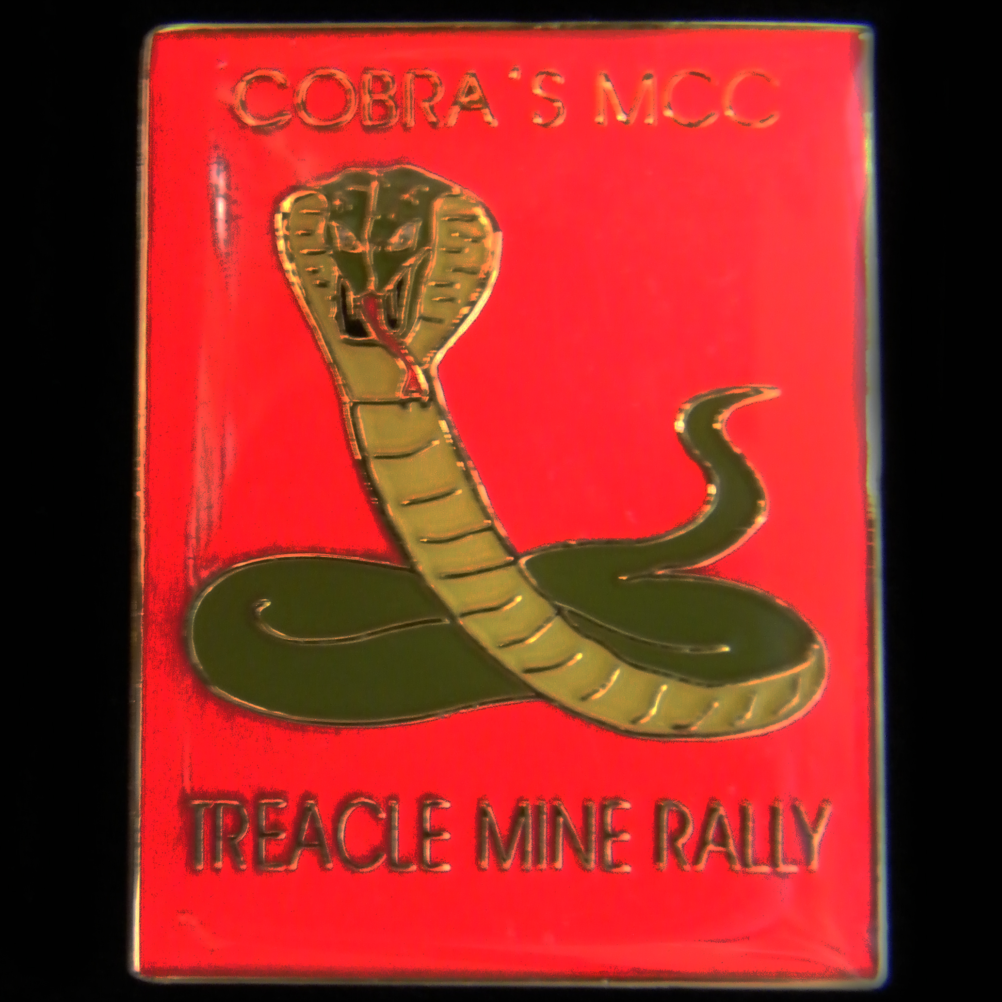Treacle Mine Rally pin badge