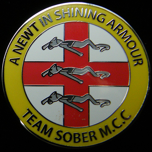 Newt in Shining Armour (A) pin badge