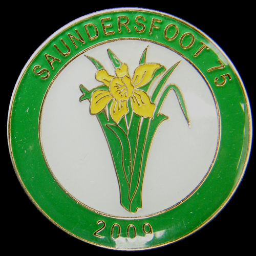 Saundersfoot Rally pin badge