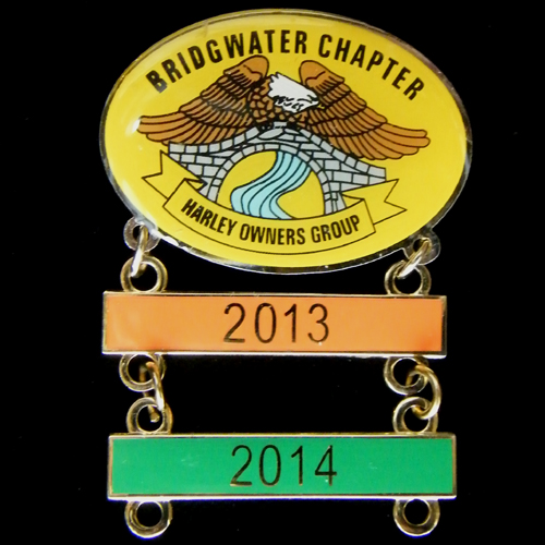 Harley Owners Group pin badge