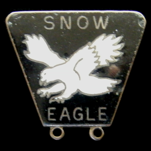 Snow Eagle pin badge
