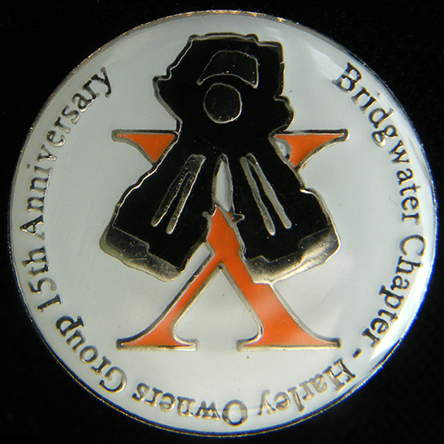 Harley Owners Group pin badge