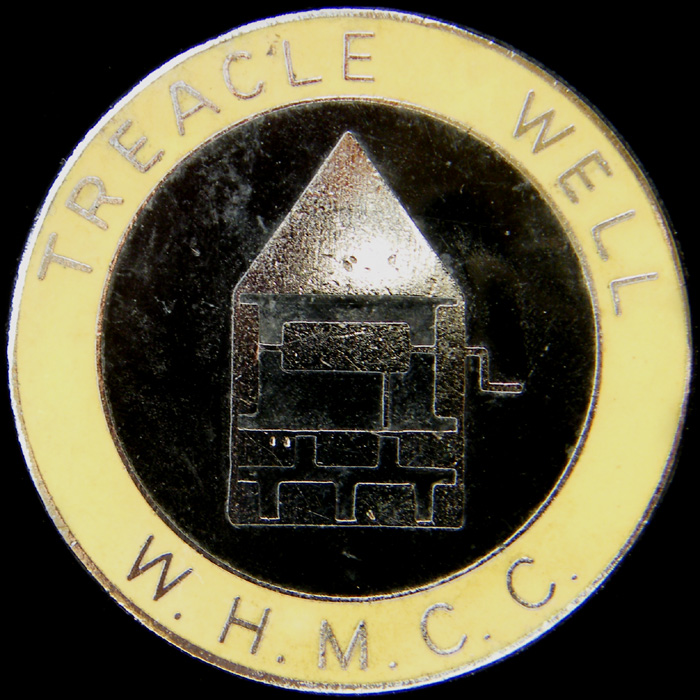 Treacle Well Rally pin badge