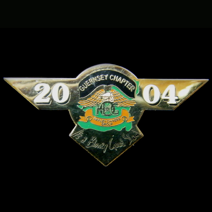 Harley Owners Group pin badge