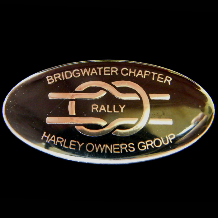 Harley Owners Group pin badge