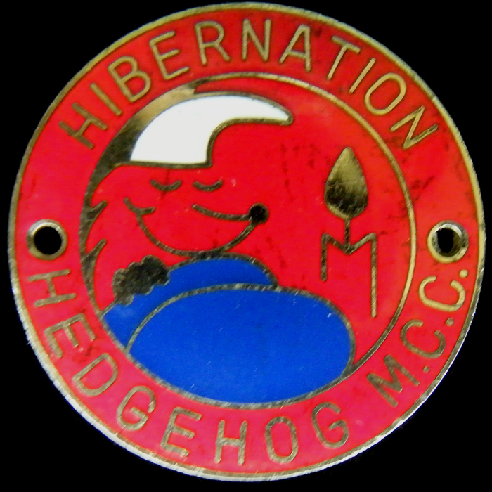 Hibernation Rally pin badge