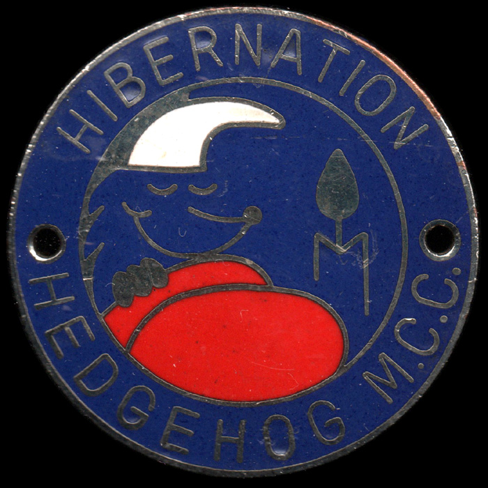 Hibernation Rally pin badge