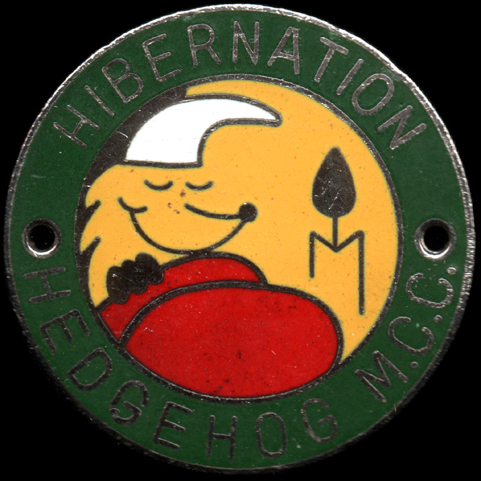 Hibernation Rally pin badge