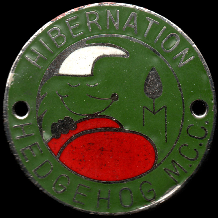 Hibernation Rally pin badge