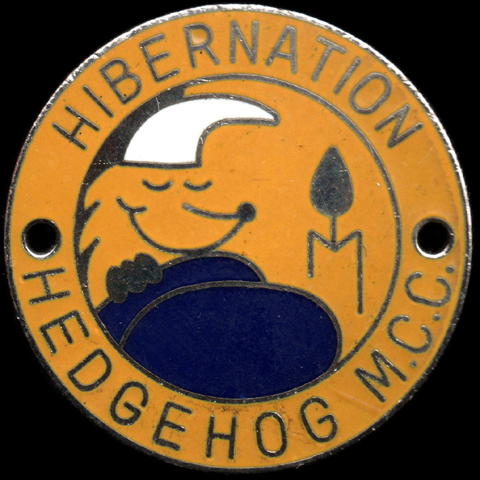 Hibernation Rally pin badge