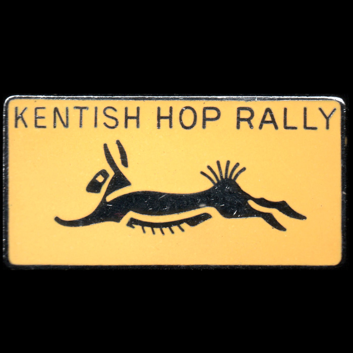 Silkworm Rally pin badge