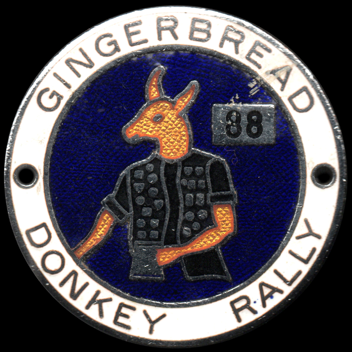 Donkey Rally pin badge 