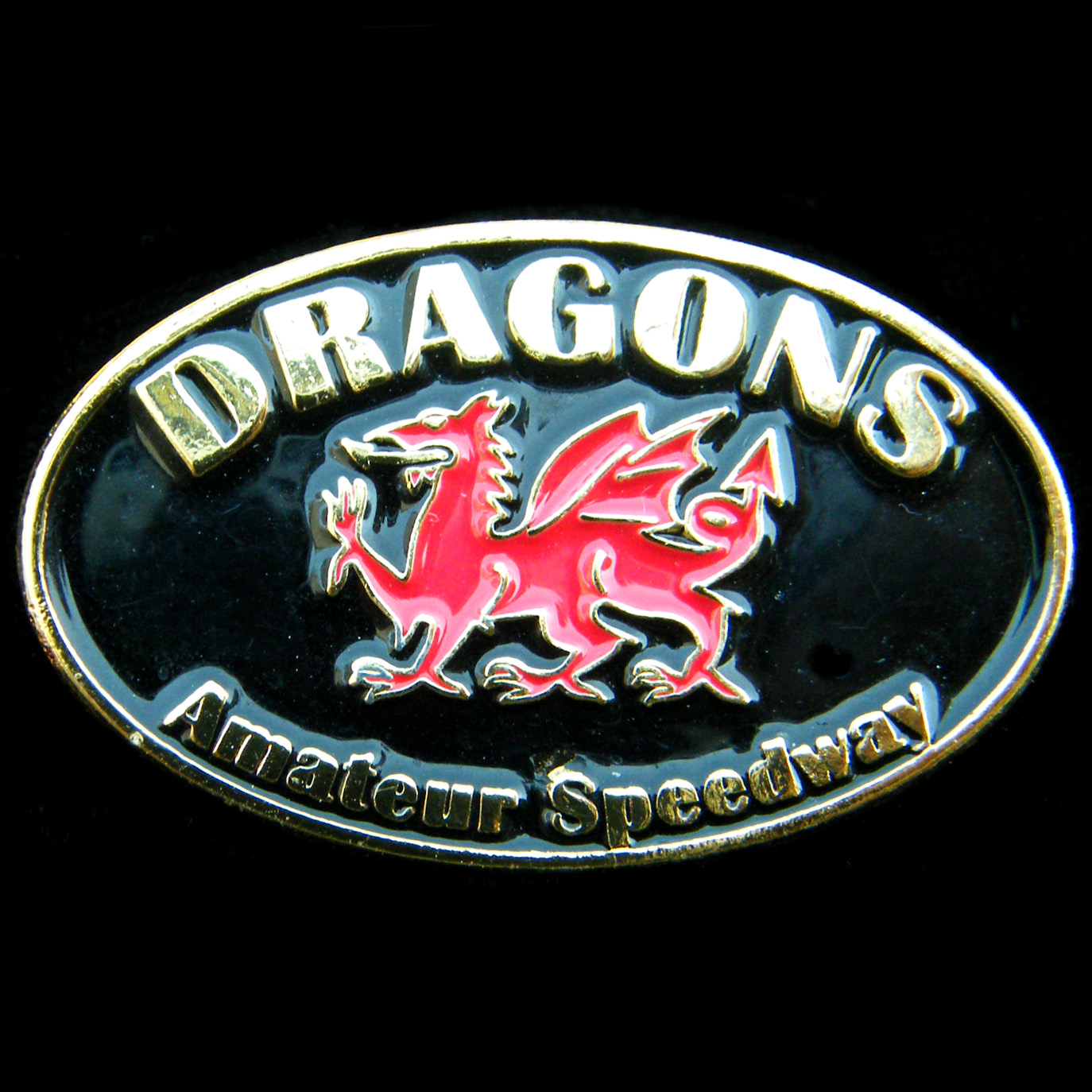 Dragons Amateur Speedway pin badge