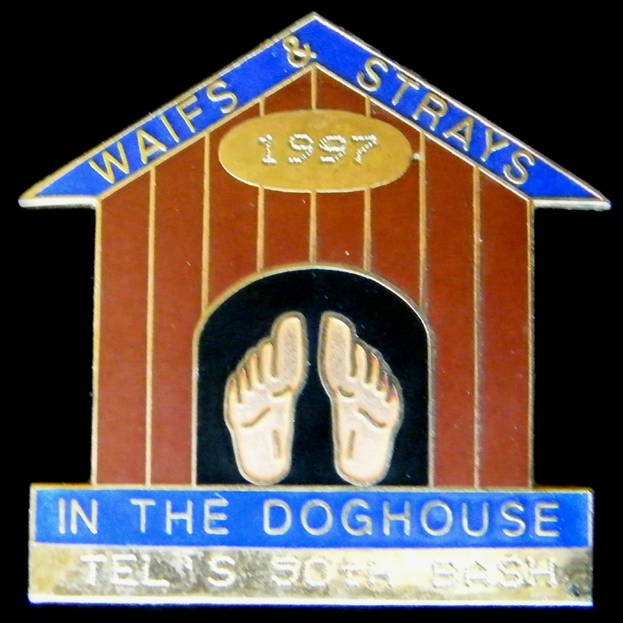 Waifs & Strays in the Doghouse pin badge