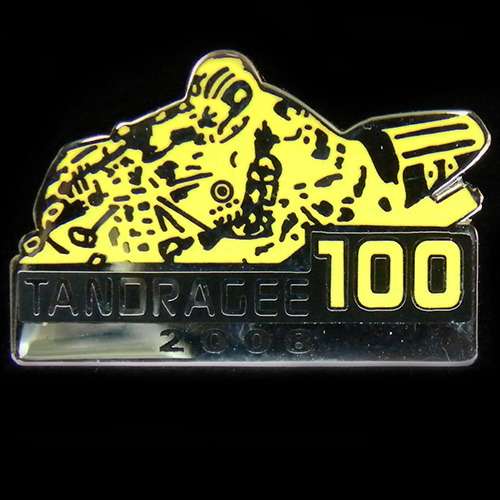 Tandragee 100 pin badge
