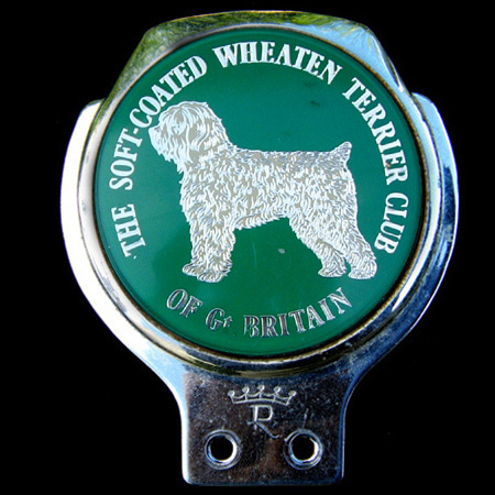 The Soft Coated Wheaten Terrier Club of Gt Britain