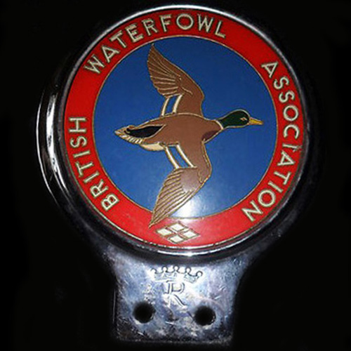 British Waterfowl Association Car Badge